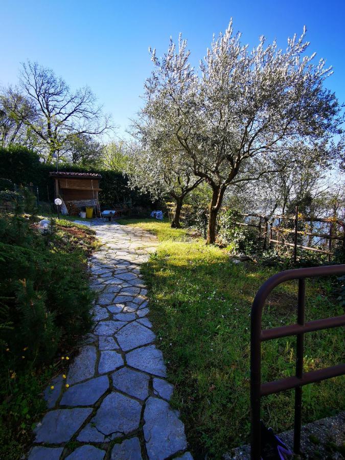 Casa Olivi Apartment Civate Exterior photo